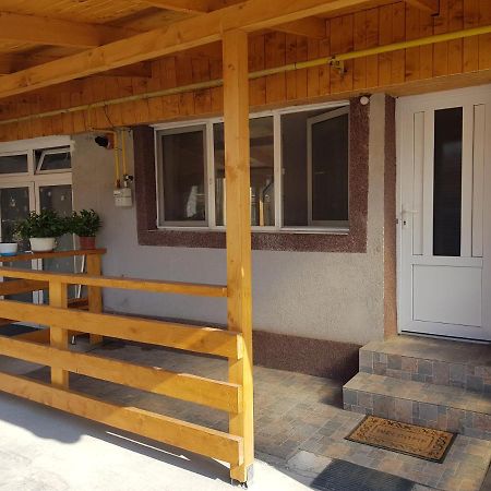 Casa Gina Apartment Arad Exterior photo
